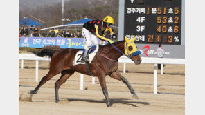 경마, ‘574.6배’ 스포츠동아배 역대 최고배당