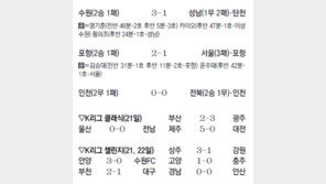 벼르고 벼른 황새, 독수리에 분풀이