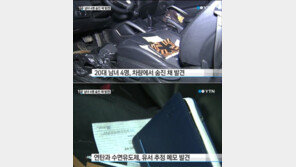 20대 남녀 4명 숨진채 발견, SNS 통해 모여 ‘동반자살’ 가능성