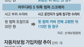 “대물보험 2억도 불안해”… 호랑이보다 무서운 수입차