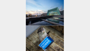 한화 아쿠아플라넷, 제주 연간회원권 론칭