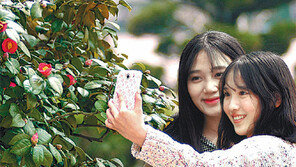 [대구/경북]“봄이 왔어요”