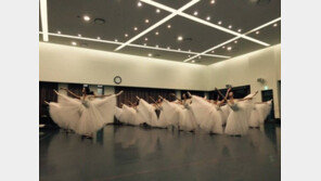 국립발레단 올 개막작 ‘지젤’…발레리나 24명의 군무 ‘환상 체험’