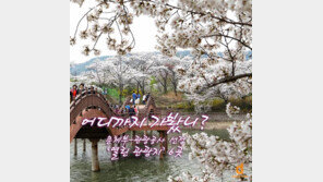 [카드뉴스] 어디까지 가봤니? ‘열린관광지’ 6곳 첫 선정