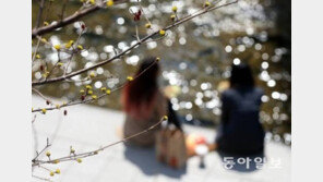 [날씨]추위 이젠 가려나? 25일 봄기운 물씬…큰 일교차 주의