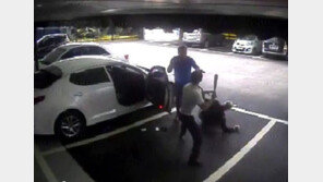 야구방망이 휘두르는 조폭 vs 날아차기 경찰…실제 영상 화제