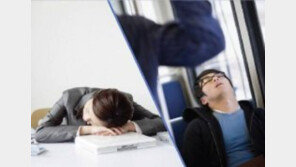 낮잠 45분 자면 기억력 5배 향상…성인은 45분, 청소년은?