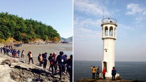 여수 갯가길 3코스 내달 개장, 갯벌-숲길 마주하는 420㎞ 해안선 연결