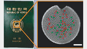 복제불가! 먼지 크기 ‘인공 미세지문’