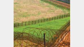 [손 내밀면 닿을 듯… DMZ]2중 3중 삼엄한 철조망