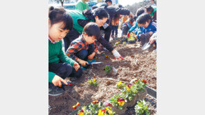[광주/전남]“봄을 심어요”
