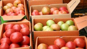 같이 먹으면 좋은 식품, “음식도 궁합이 중요”