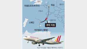 독일 여객기 추락, 인도네시아에서 실종됐던 ‘A320-200’ 기종