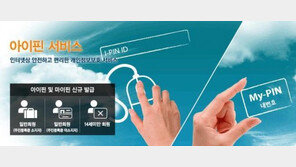 5월부터 전면 재발급 ‘공공아이핀’, 본인 확인 후 재사용…부정사용방지시스템 도입