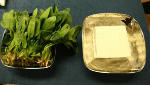 시금치 두부는 같이 먹으면 결석증 유발, 같이 먹으면 좋은 식품은?