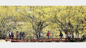 [날씨] 꽃가루 알레르기 예방하려면? 26일 전국 맑고 포근