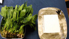 생선 마늘은 같이 먹으면 좋은 식품, 같이 먹으면 독이 되는 것은?