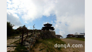 덕유산 박쥐 3종 서식, 최초로 확인