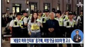 홍가혜, 악성 댓글 800여 명 고소, 형편에 따라 합의금 분할 약정 형태도...