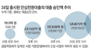이틀새 年한도 절반 소진… 금융당국 “예상 못해”