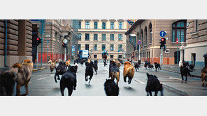 이기적 인간에 맞서 분연히 일어난 유기견들