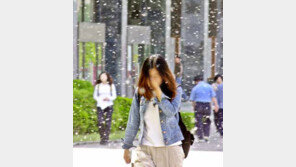 꽃가루 위험예보 서비스 추진, 국민의 20% 꽃가루 알레르기 피해 겪어