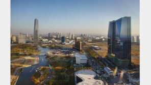 복합쇼핑센터 및 대형마트 포화효과, 송도국제도시 아파트 소진율 급증