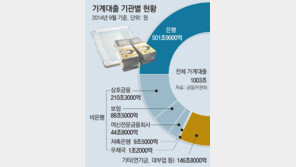 ‘안심대출’ 2금융권 확대 어려울듯