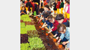 [부산/경남]부산도시농업박람회 개막