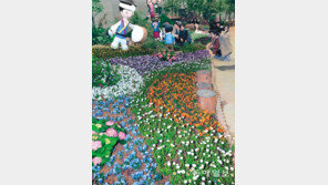 [광주/전남]미리 보는 ‘광주 봄꽃 박람회’