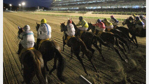 ‘전자카드 도입’ 득보다 실…불법도박 근절이 우선