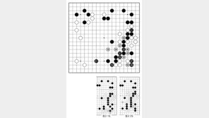 [바둑]제58기 국수전… 임기응변의 호수 47