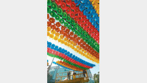 부처님 오신 날 두 달 앞두고 등장한 연등