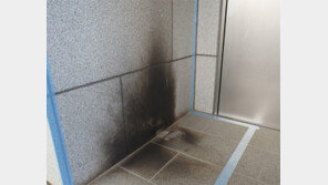 복면 괴한, 도쿄 한국문화원 방화 시도