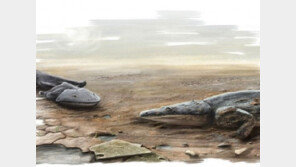 무게 100kg-길이 2m 고대 도롱뇽, 공룡의 조상 잡아먹으며 살았다? ‘무시무시’