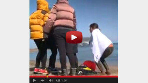 [전문]이태임-예원 동영상 유출 ‘술렁’… “맞기 싫으면 눈 똑바로 떠 XXX”