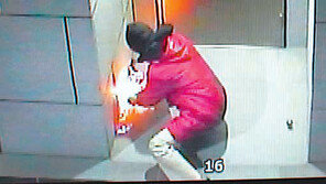 도쿄 한국문화원 방화시도범 여성 가능성