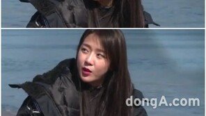 이태임 예원 동영상 파문 속…인터넷 패러디 봇물 “기발하네”