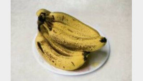 바나나는 노란게 맛있다? NO! 검은 반점 나타날때 최고...‘면역력 증가 효과’