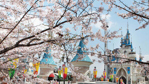 롯데월드 나들이철 맞아 인기 어트랙션 업그레이드