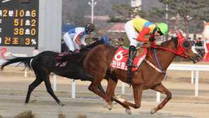 전자카드 인권침해 결정에도 고?