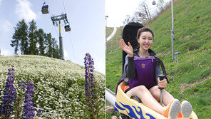 봄 야생화·여름 썰매·가을 단풍·겨울 스파…사계절 리조트가 대세다