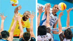 시몬 “지금처럼” vs 레오 “2014년처럼”