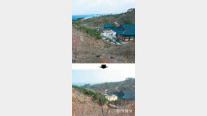 잿더미 10년 낙산사에 ‘희망의 봄’