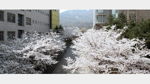 [총장, 대학을 바꾸다]글로벌 경쟁의 시대… 미래 개척하는 지성인 키운다