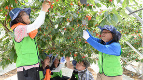 한국전력기술, 세계적 원전-화전 설계기술로 해외시장 개척