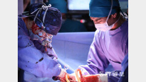 “2030년 의사 간호사는 부족”, 의사 1인당 환자수 OECD국가와 비교해보니…