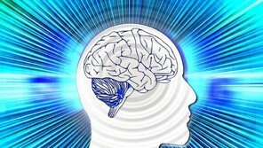 아폴로 신드롬이란? 우수 인재 모였는데 성과 ‘뚝↓’…천재의 빈틈? ‘반전 결과’