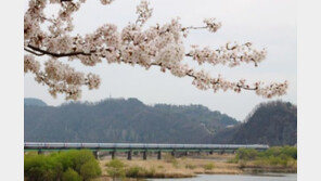 포항 KTX 개통으로 반나절 생활권 구현…유라시아 이니셔티브 사업의 초석