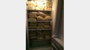 인터넷 판매 모유, 각종 바이러스에 오염 가능성↑… ‘규제 시급!’